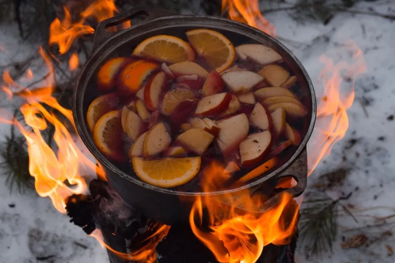 Elden och rötterna: Nordens urgamla smaker hittar hem igen